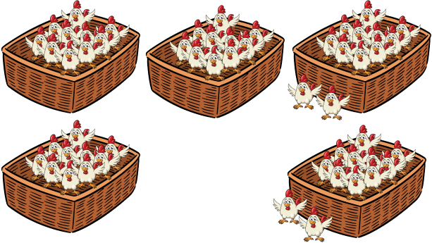 Chickens in the basket