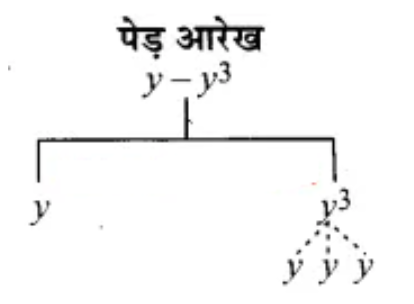 (y -  y3) के गुणनखंडों का पेड़ आरेख