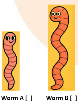 Worm A and Worm B