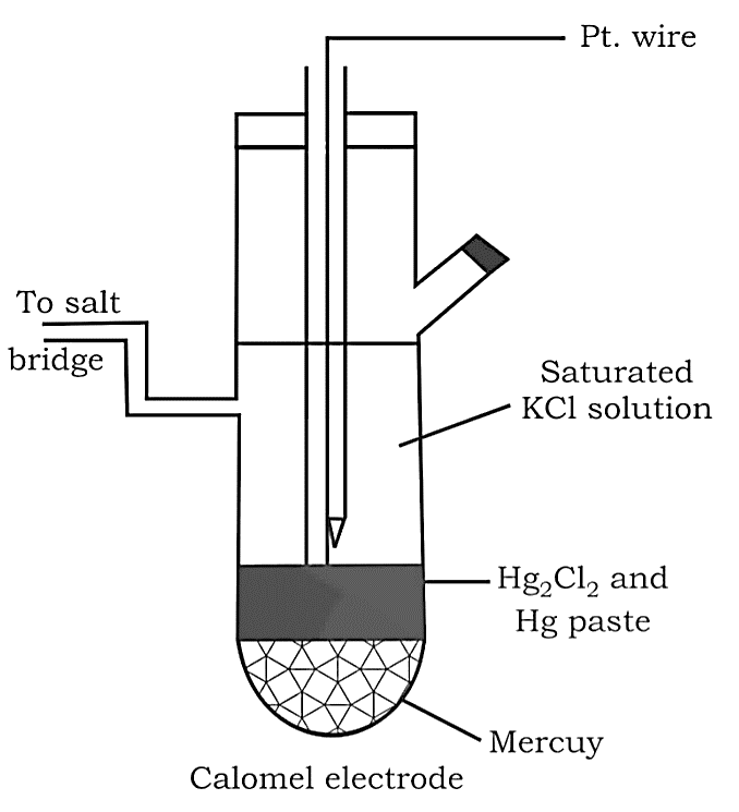 Calomel Electrode