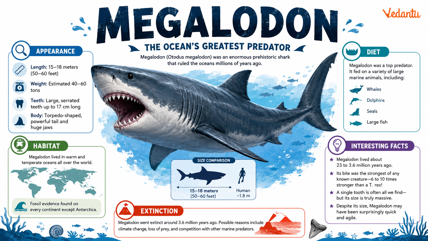 Megalodon prehistoric giant shark