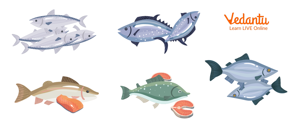 Fish is the Most Consumed Aquatic Food