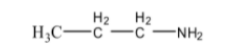 Basic nature of amine