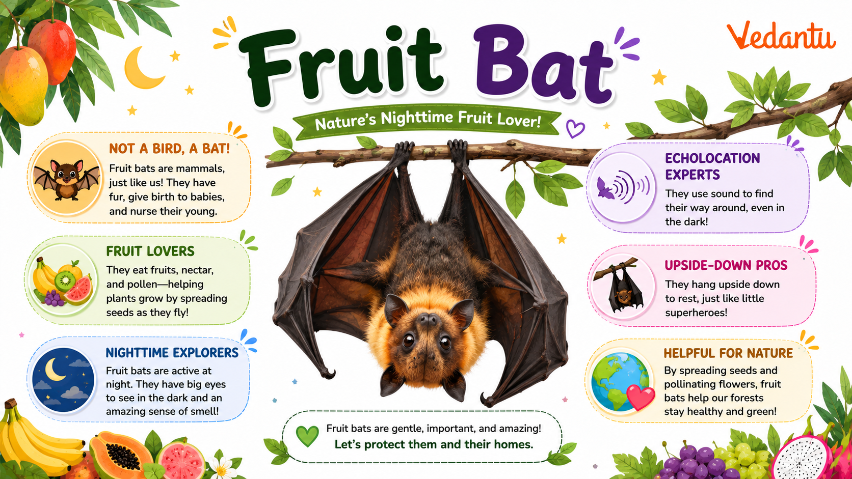 Fruit Bat hanging upside down with large wings