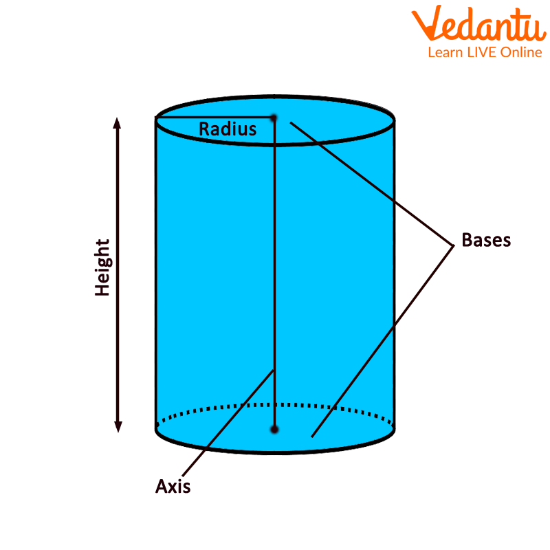 3D Representation Of Cylinder