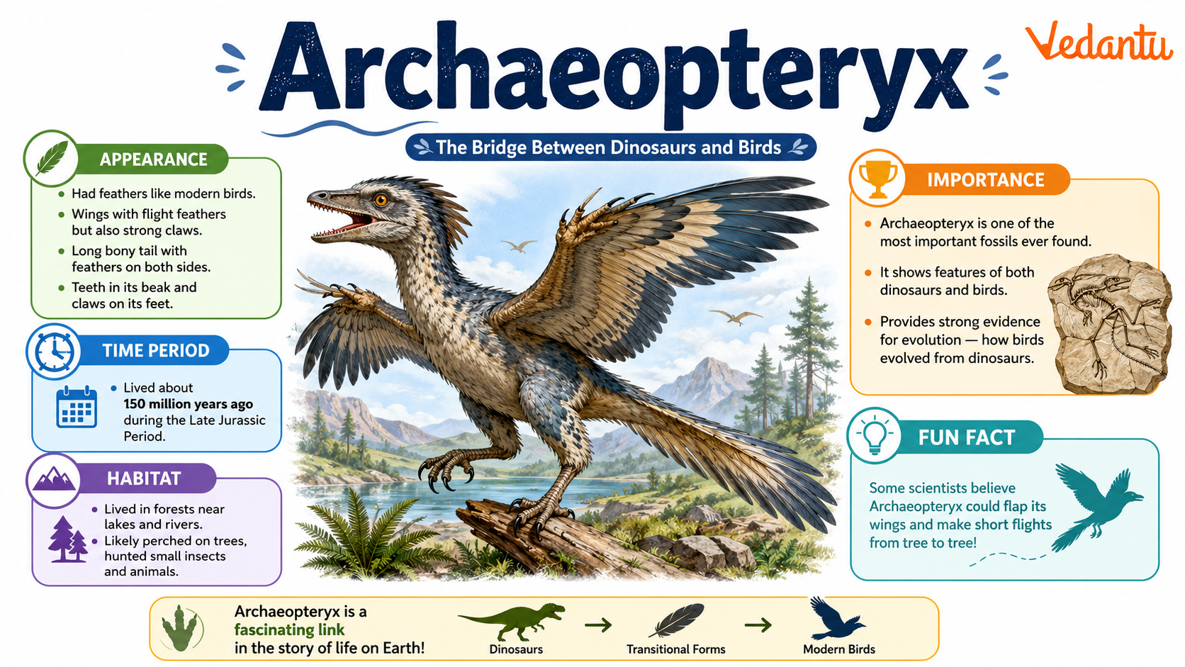Archaeopteryx prehistoric bird-like dinosaur fossil reconstruction