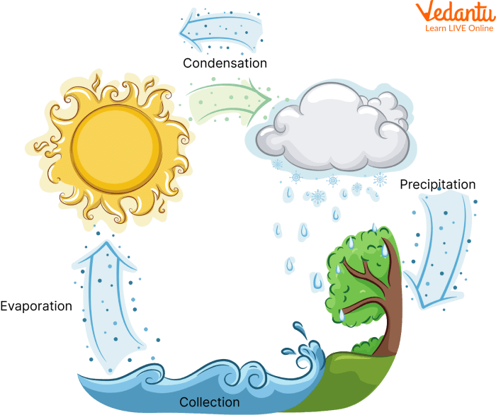 Water Cycle