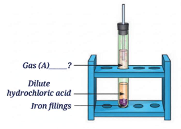 Analyse the figure. Identify Gas A. Also, write the word equation of the chemical reaction