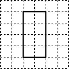 Rectangle in the slab of the square boxes