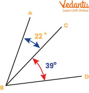 Adjacent Angles