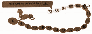 The squirrel jumps 4 steps at a time. Which numbers will the squirrel touch answer.