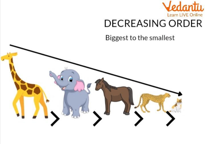 Decreasing Order of Height for Different Animals