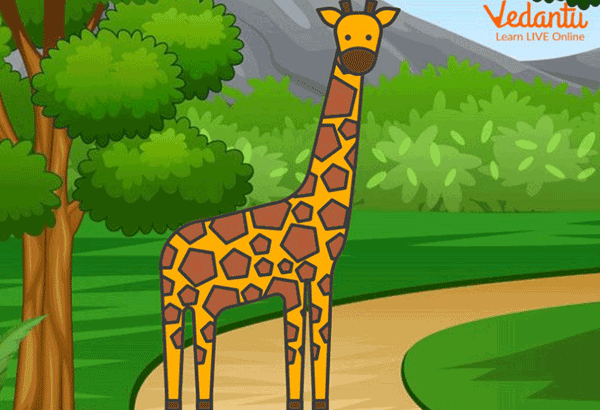 Giraffe searches for Spotty’s laugh