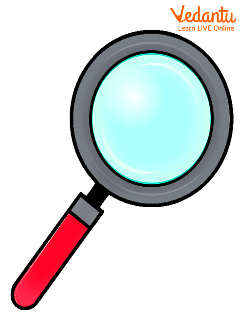 Magnifier