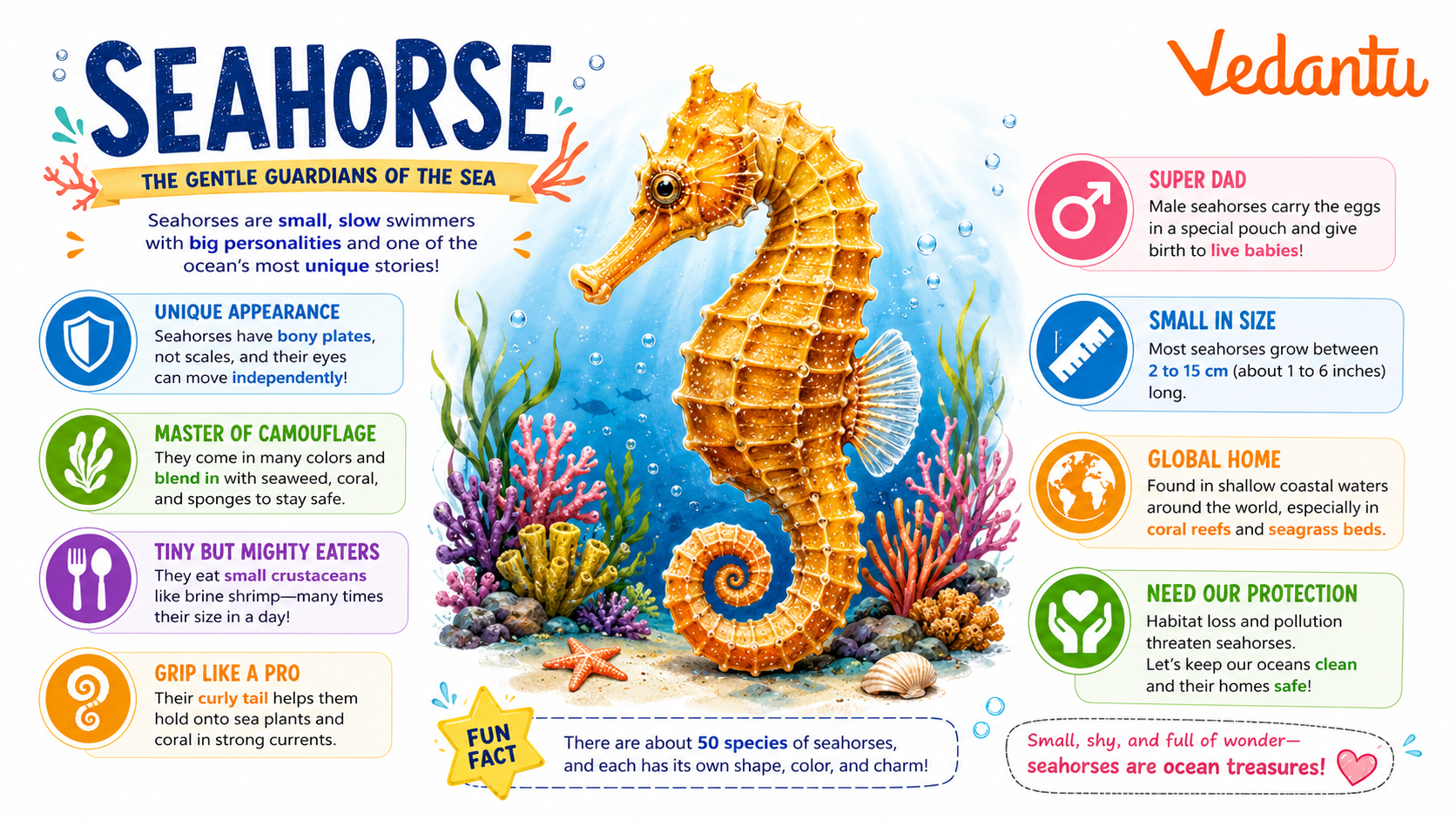 Sea Horse marine animal with curled tail and horse-like head