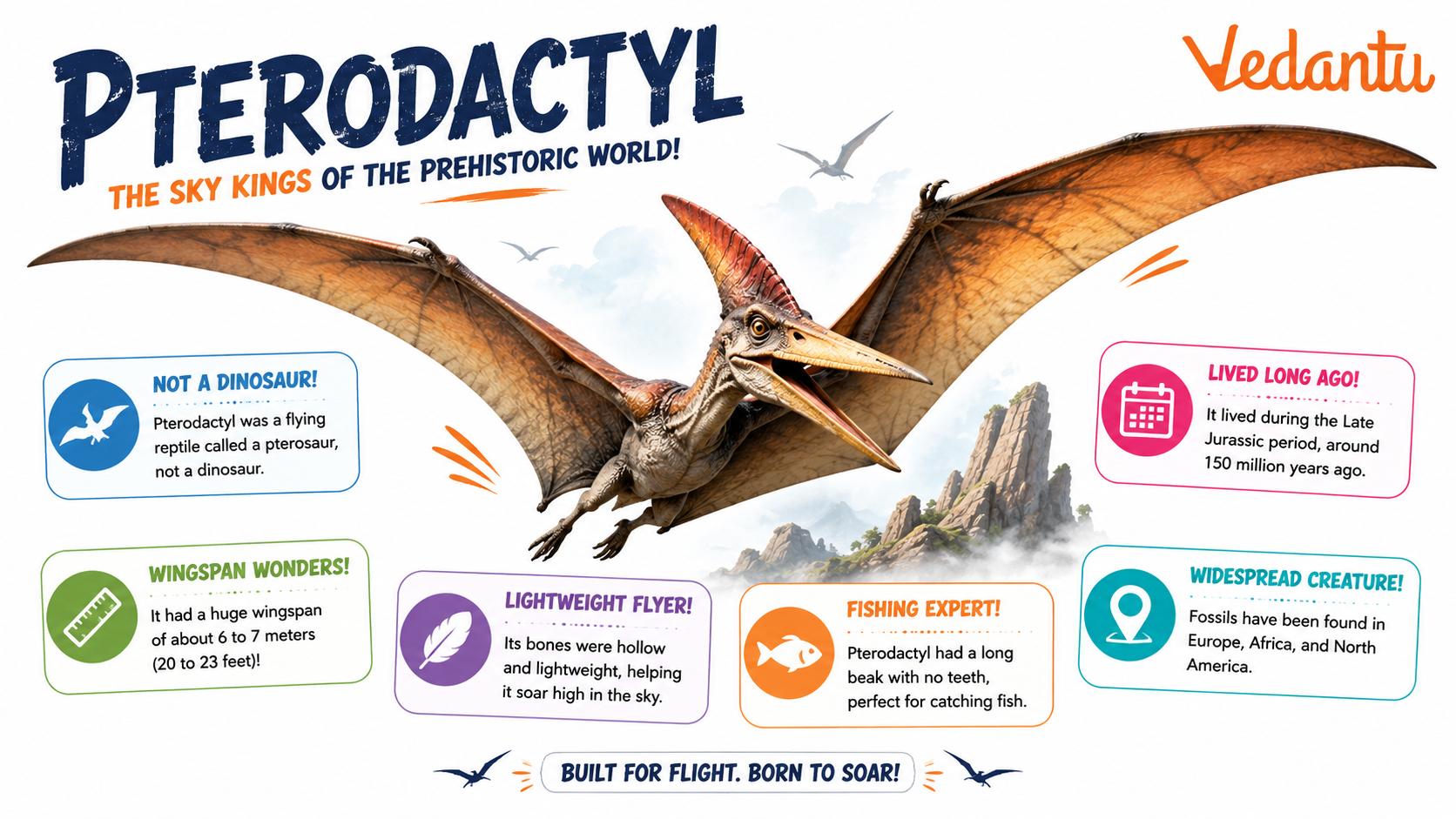 Pterodactyl flying reptile from prehistoric times