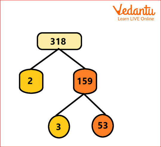 Factor tree of 318