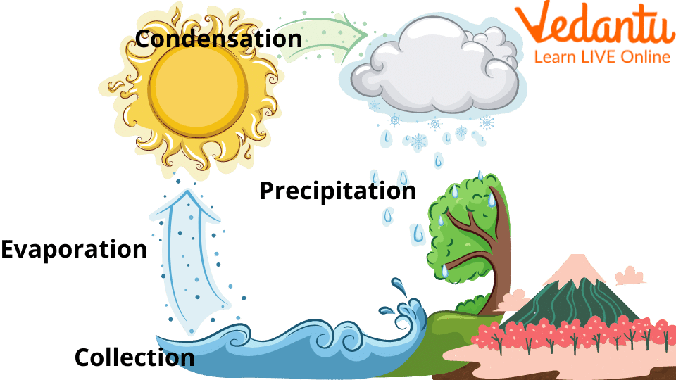 The Water Cycle