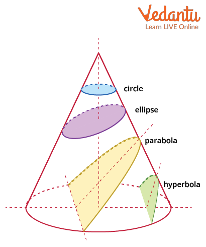 Different curves from a conic section