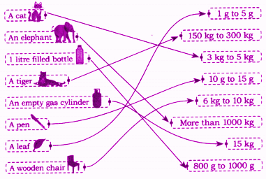 Match the objects in the left column with their estimated weights in the right column. answer
