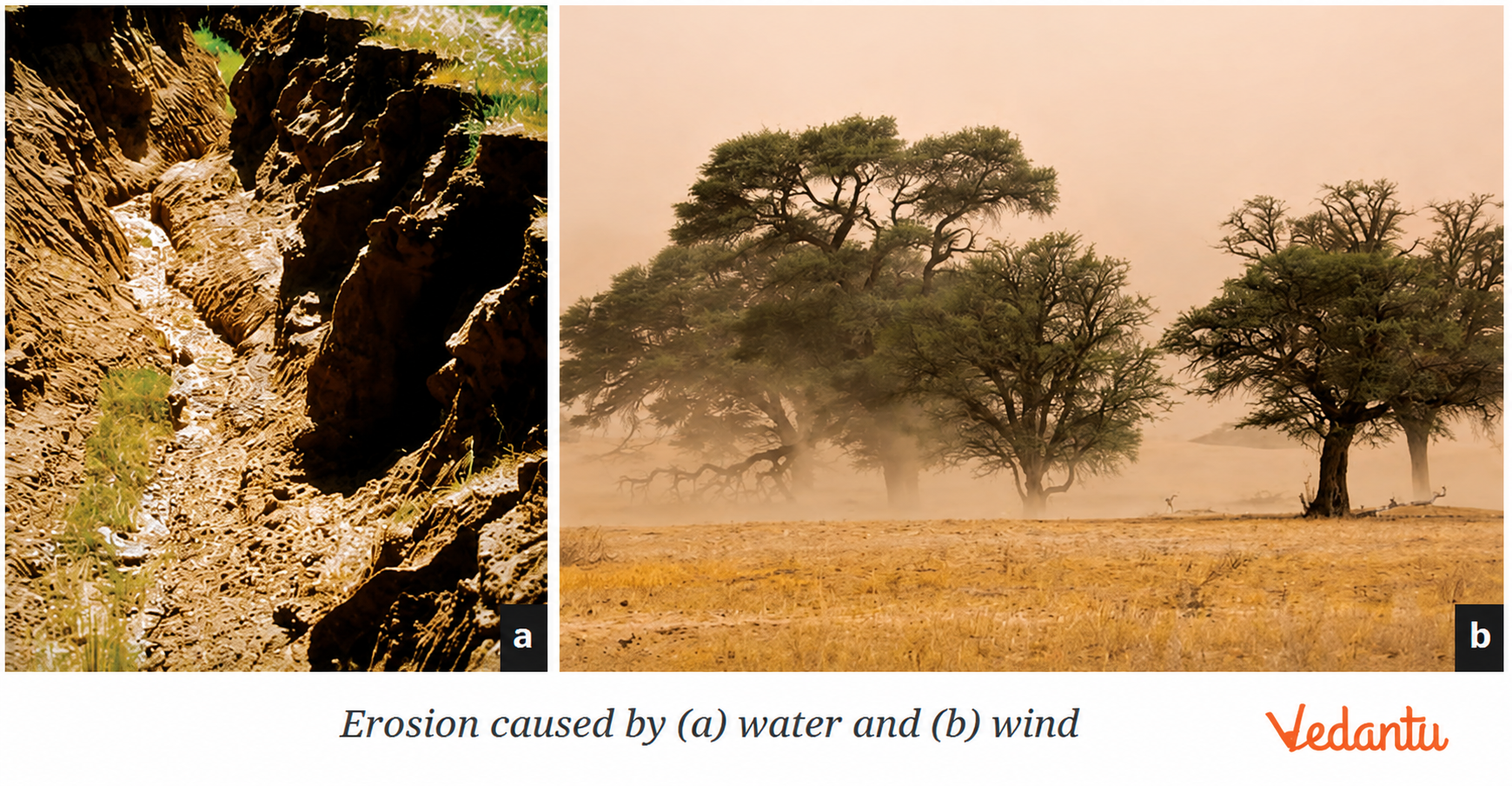 Erosion caused by (a) water and (b) wind