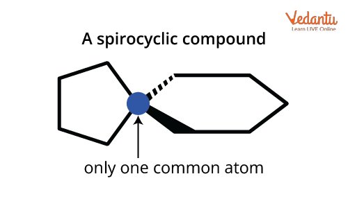 Structure of Spirocyclic compounds