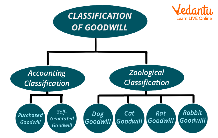 Classification of Goodwill