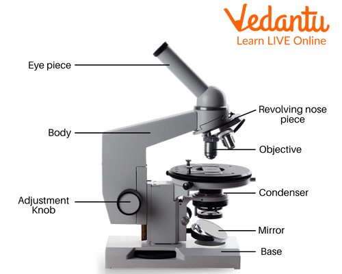 Image showing Compound Microscope