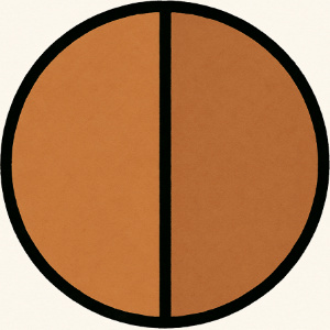 Fraction 1/2