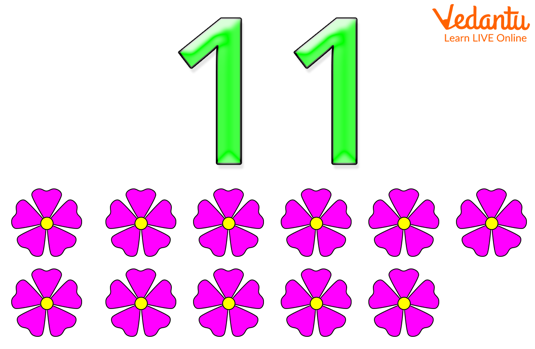 Eleven Flowers