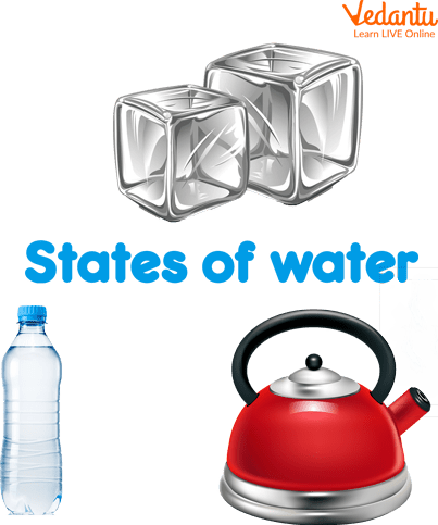 States of Water