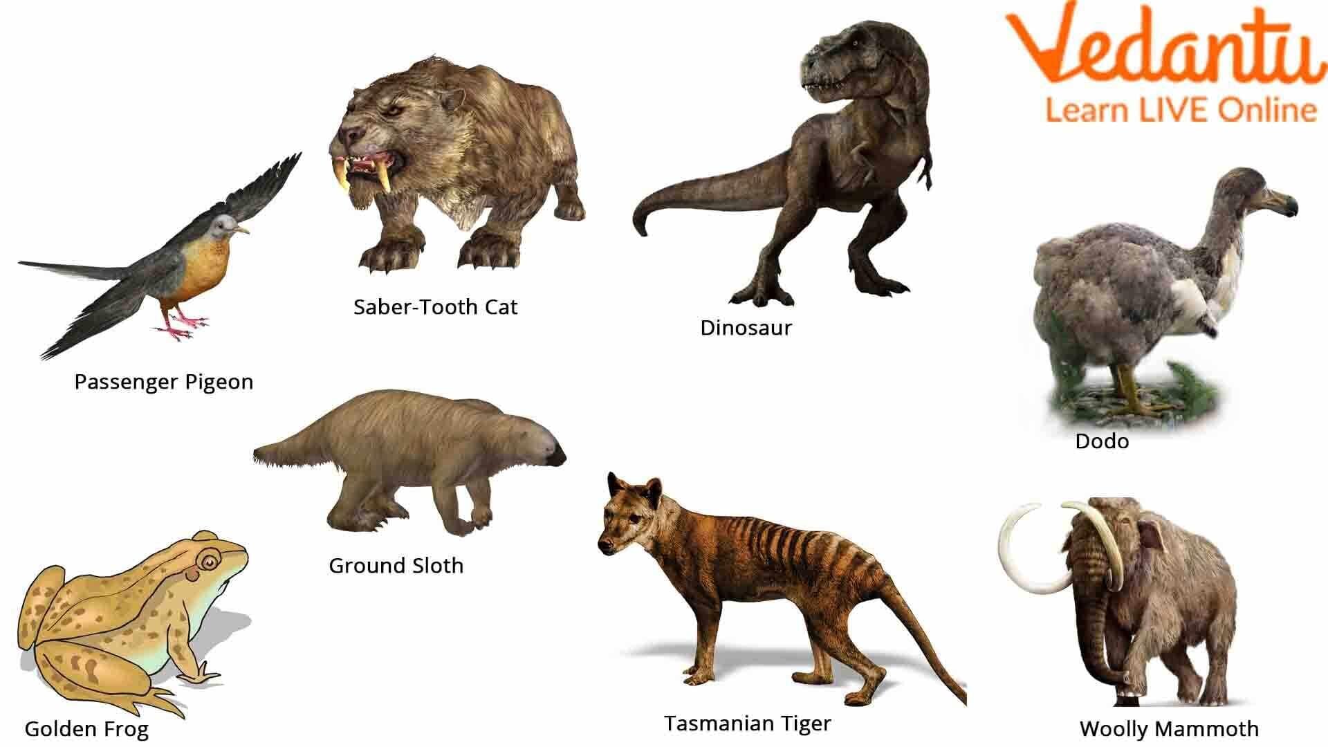 extinct animals list in the world