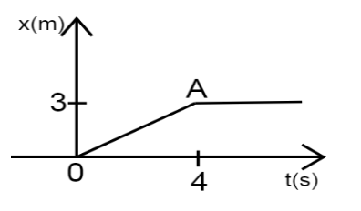 Position- Time Graph for a Particle