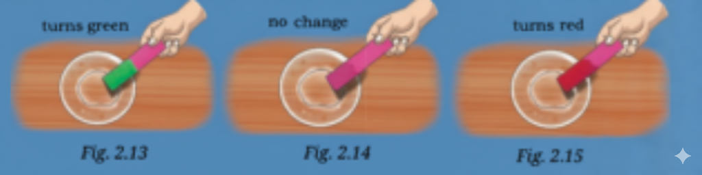 turns green, no change and turns red