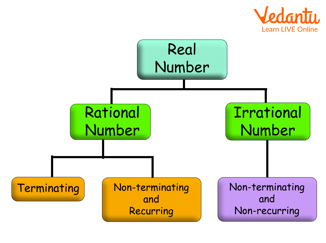 Types of Real Numbers