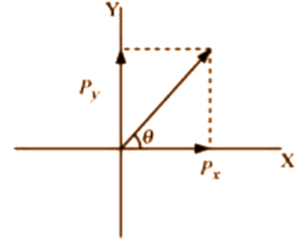 Diagram showing the components of vector P.