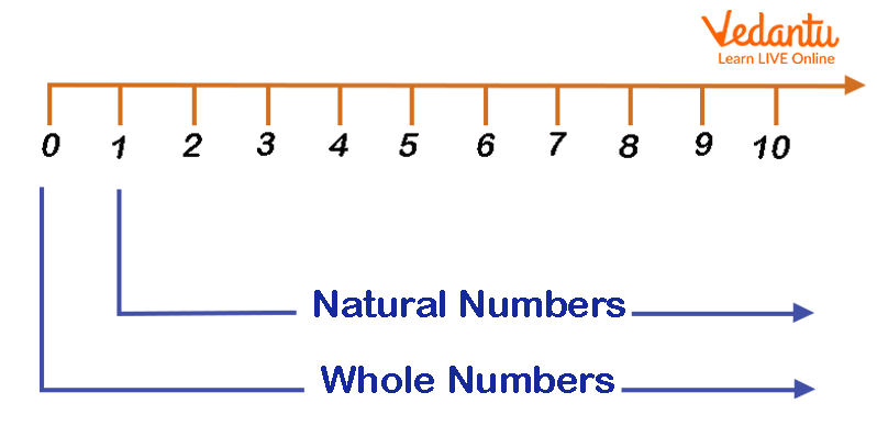 Image illustrating whole numbers on the number line