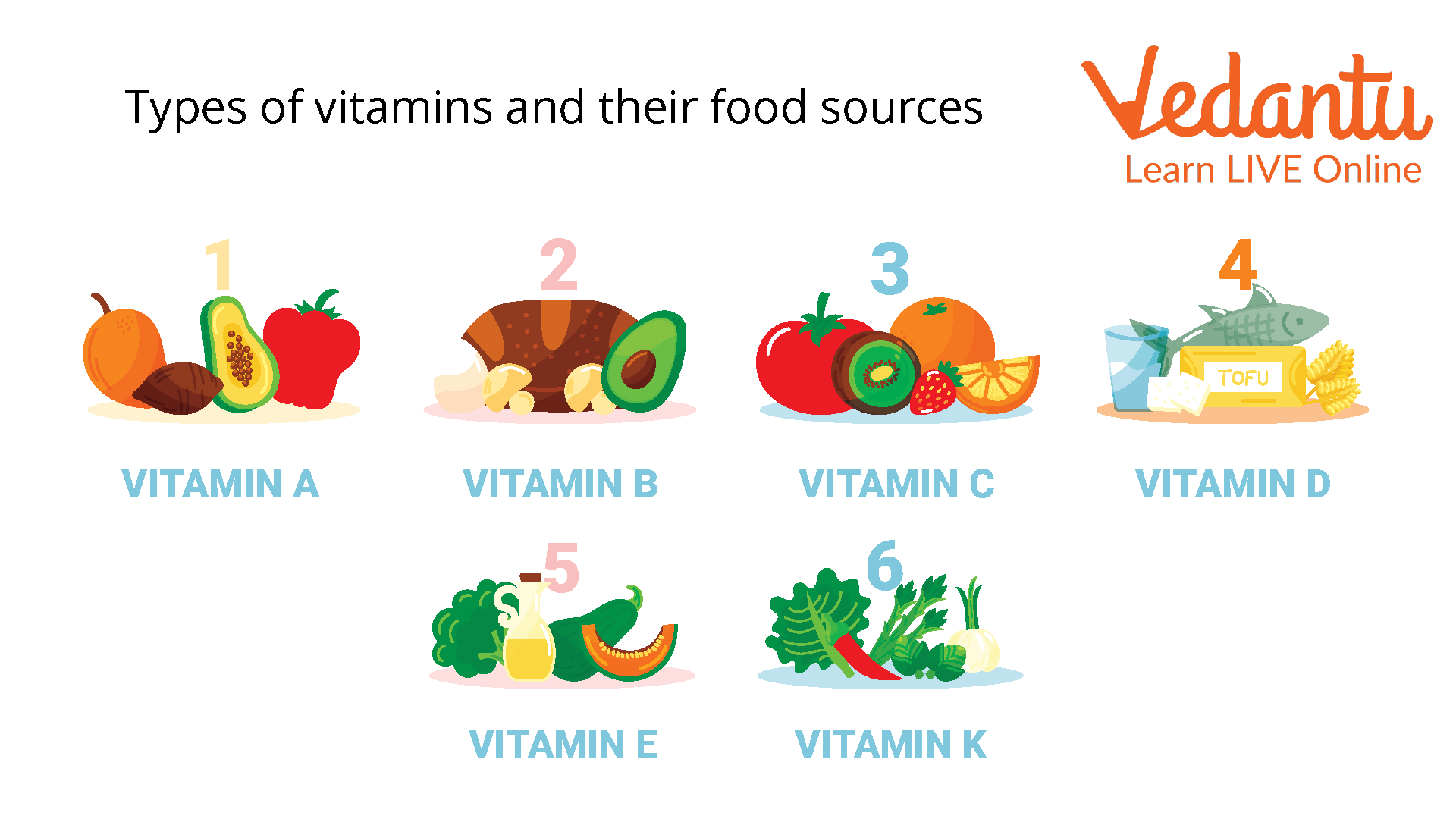 Types of vitamins and their Food Sources