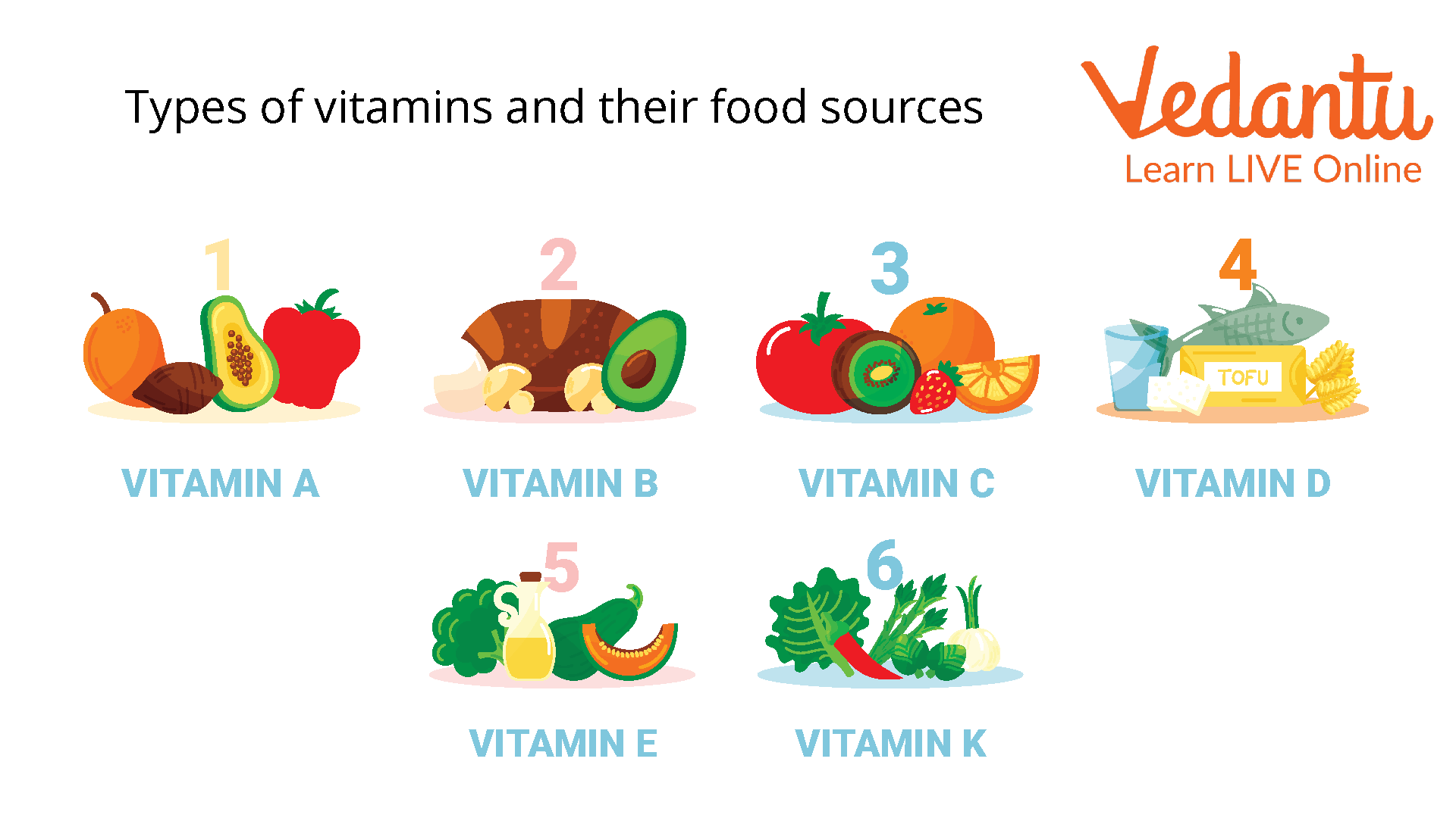 Vitamins Chart Types, Health Benefits, Function, Source, 47% OFF