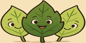 picture shows 1/3 are shaded