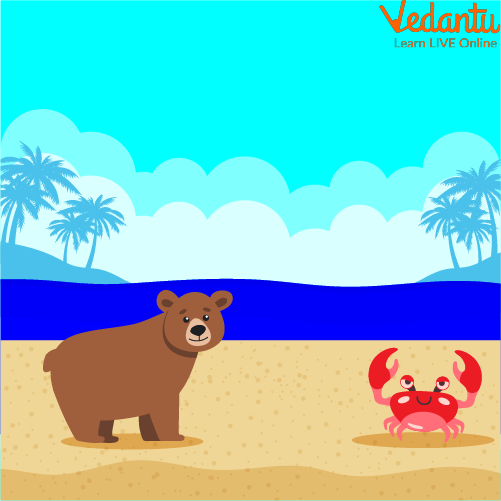 The Bear Finds Crabs Under a Rock