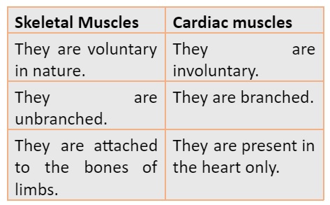 difference between Skeletal Muscles and Cardiac Muscles