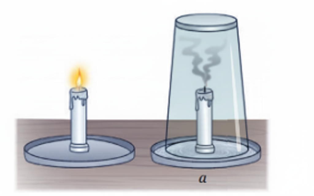 In figure (a), the candle continues to burn because it is uncovered and has a constant supply of air (oxygen). In figure (b), the candle is covered with a glass tumbler, which cuts off the continuous supply of air, causing the flame to go out. This shows that oxygen is necessary for combustion