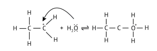 Water's nucleophilic action on carbocation