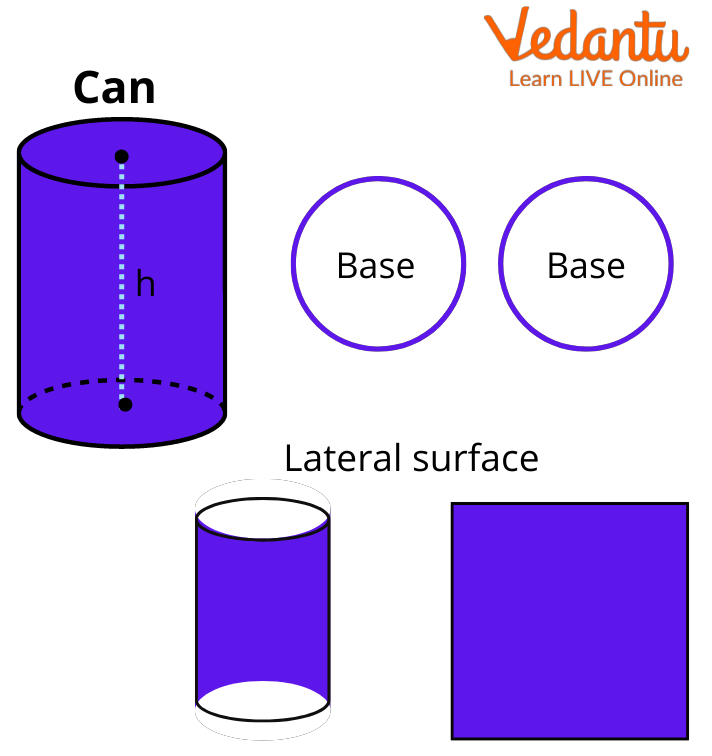 Lateral face and bases of a cylinder