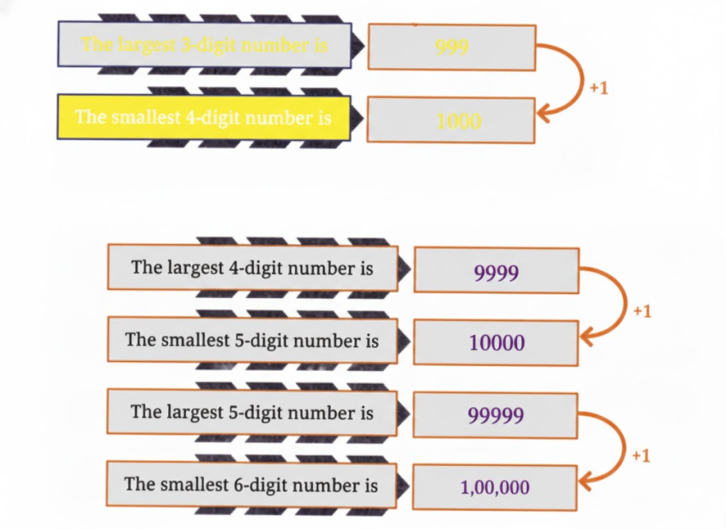 Eshwarappa shared this incident with his daughter, Roxie, and son Estu. Estu was surprised to know that there were about one lakh varieties of rice in this country. He wondered, “One lakh! So far, I have only tasted 3 varieties. If we tried a new variety each day, would we even come close to tasting all the varieties in a lifetime of 100 years?” What do you think? Guess.