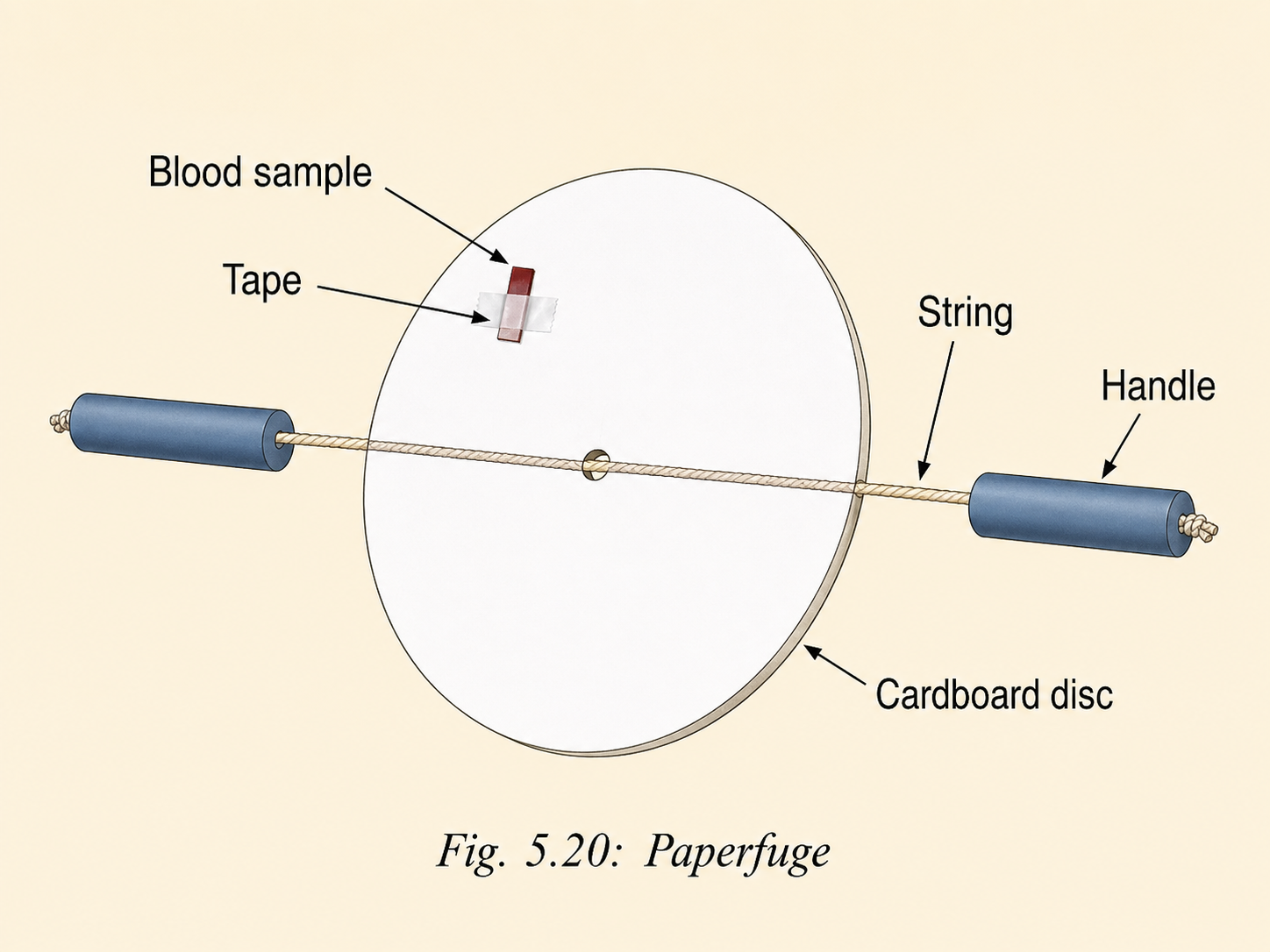 To make a simple centrifuge model using a cardboard disc and a thick thread..png