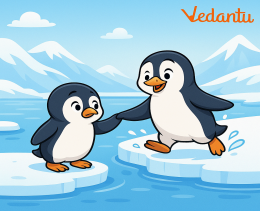 Story 1: Pip the Penguin's First Swim