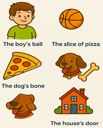 Class 3 English Grammar Possessive Nouns Worksheets