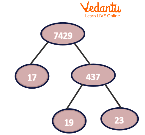 Factor Tree of 7429